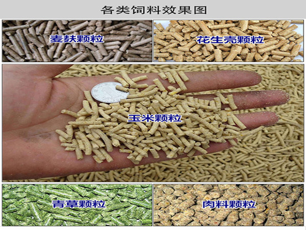 生物质颗粒机(图2) 生物质颗粒机(图2)