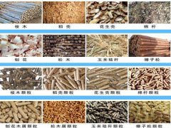 生物质颗粒机对于再生能源做出的贡献